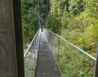 /album/durch-die-aa-schlucht-16-september-2025/aa-schlucht-16-09-2025-26-jpg/